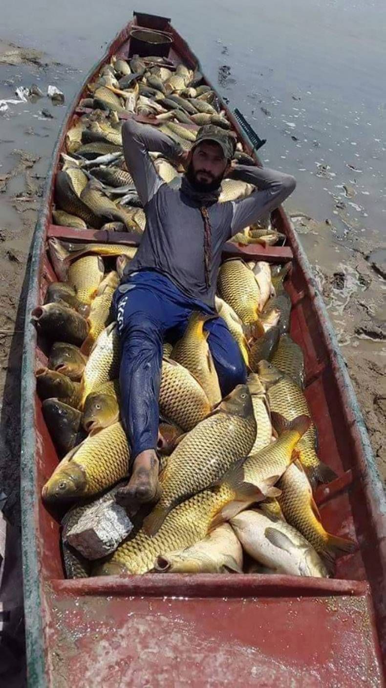 Gewoon een verzameling hilarische foto's #955