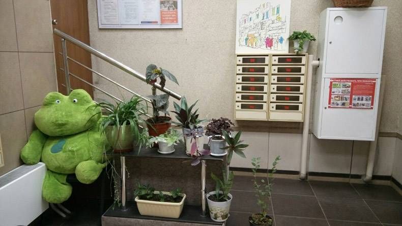 Gewoon een verzameling hilarische foto's #874