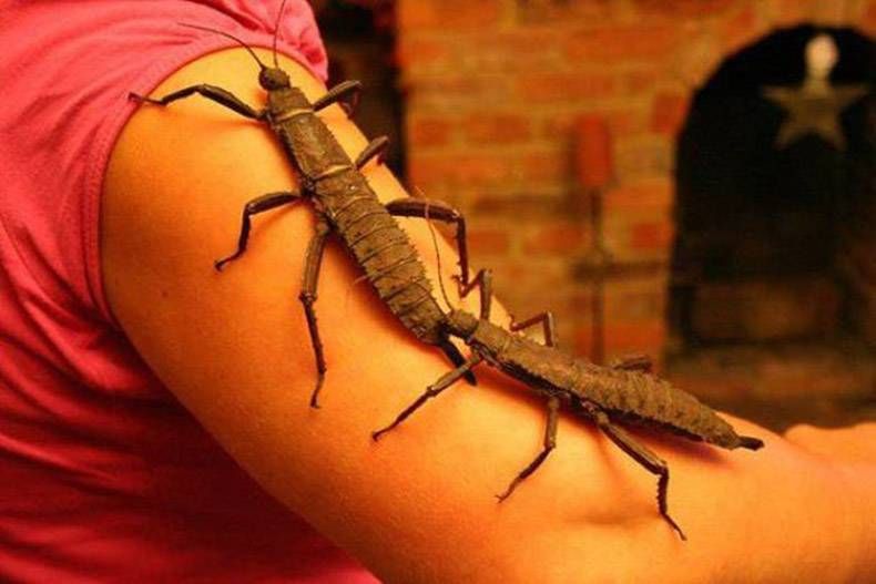 Gewoon een verzameling hilarische foto's #803