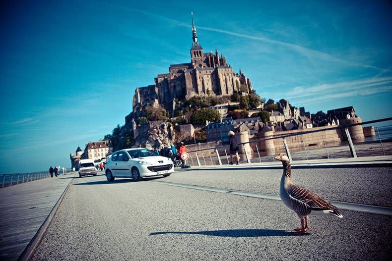 Gewoon een verzameling hilarische foto's #759