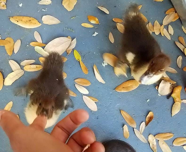 Gewoon een verzameling hilarische foto's #1173