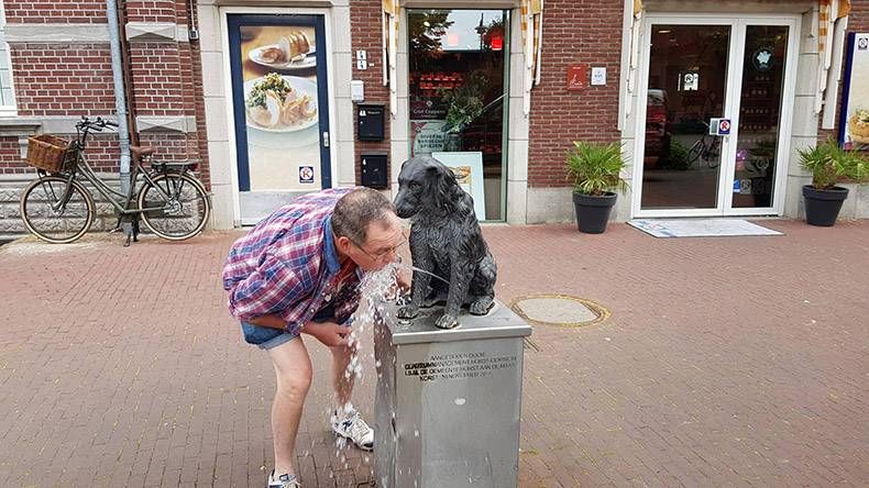 Gewoon een verzameling hilarische foto's #1152