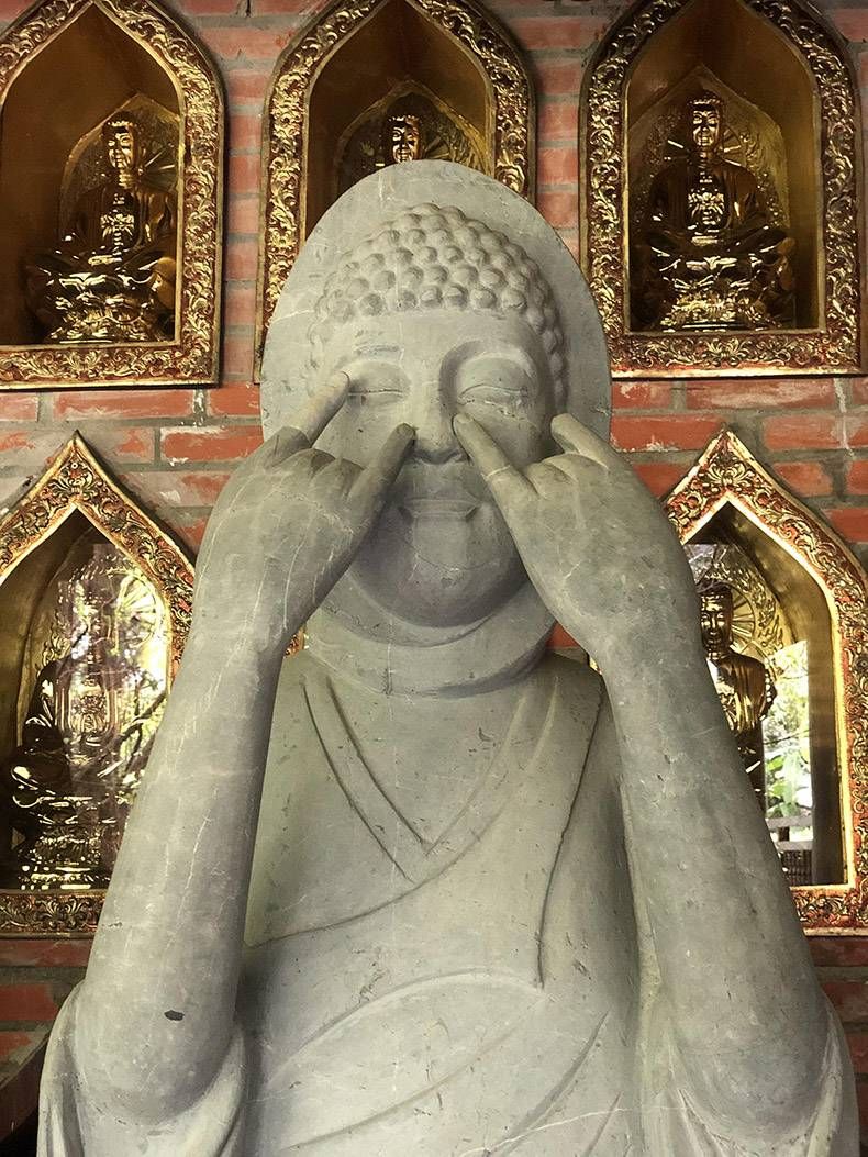 Gewoon een verzameling hilarische foto's #1139