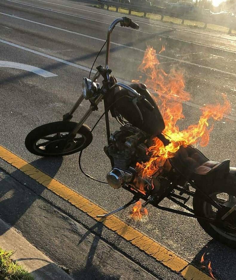 Gewoon een verzameling hilarische foto's #1037