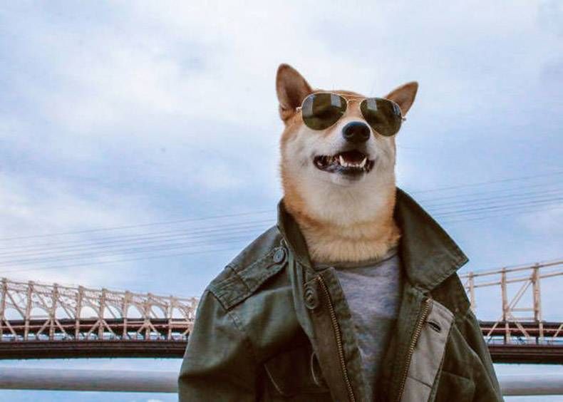 Gewoon een verzameling hilarische foto's #762