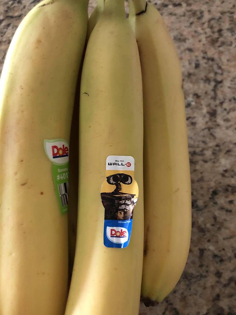 Gewoon een verzameling hilarische foto’s #1326