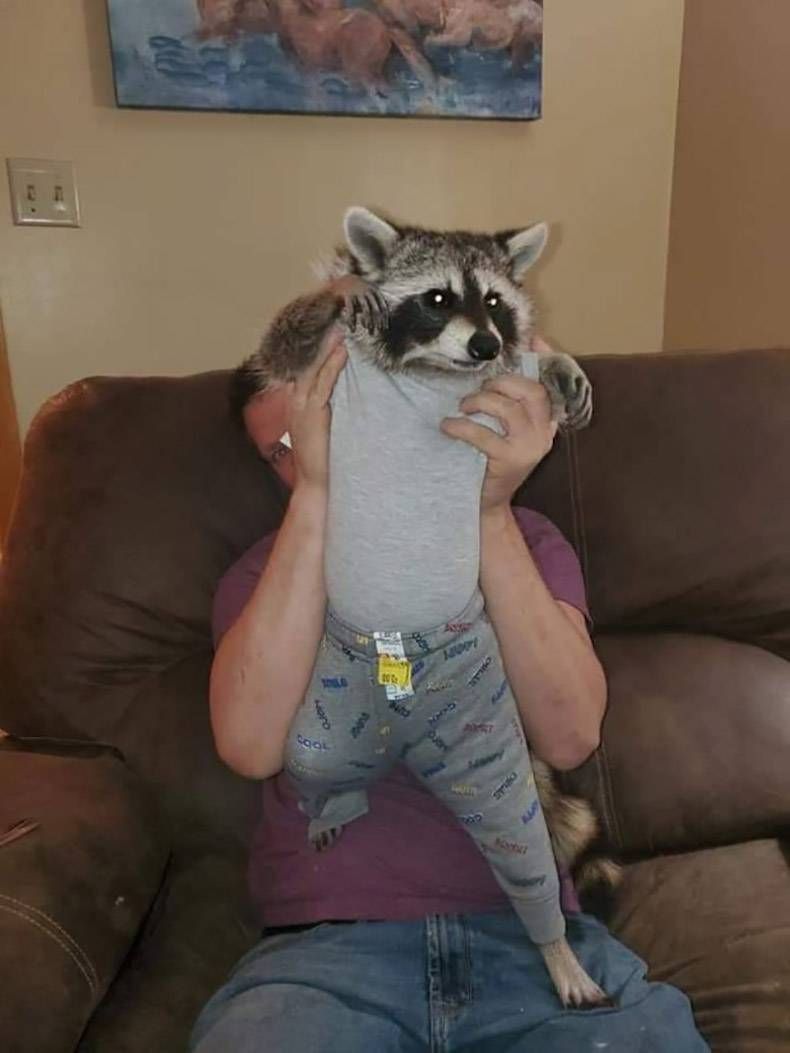 Gewoon een verzameling hilarische foto's #1251
