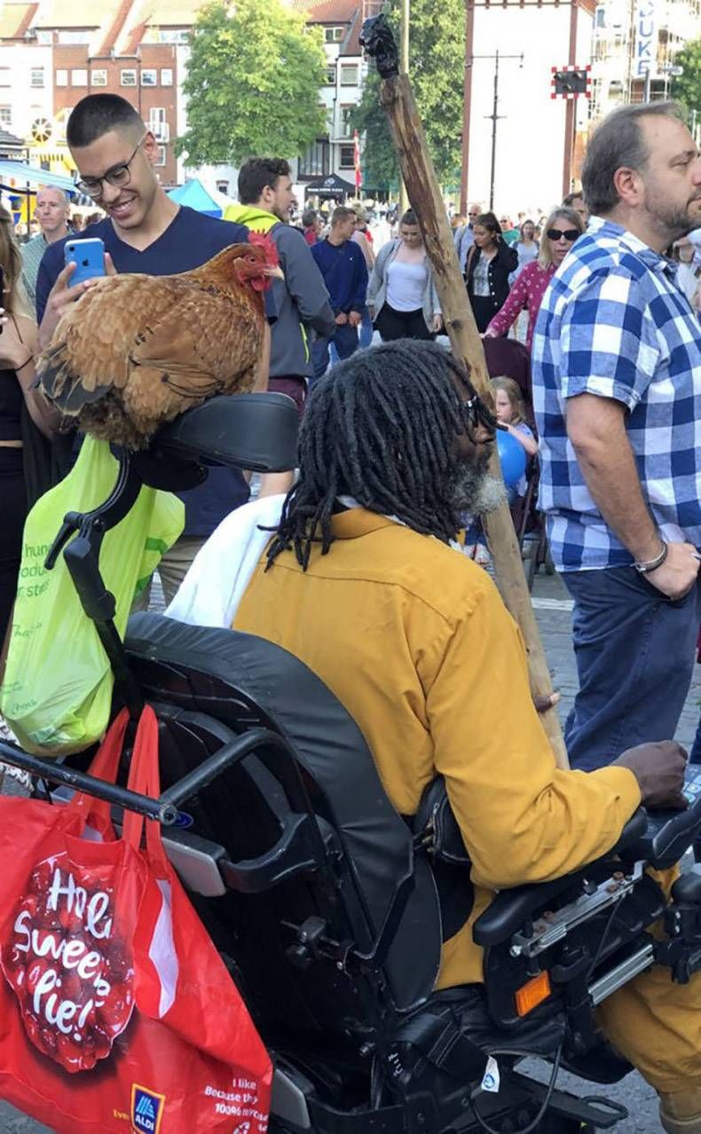 Gewoon een verzameling hilarische foto's #1159