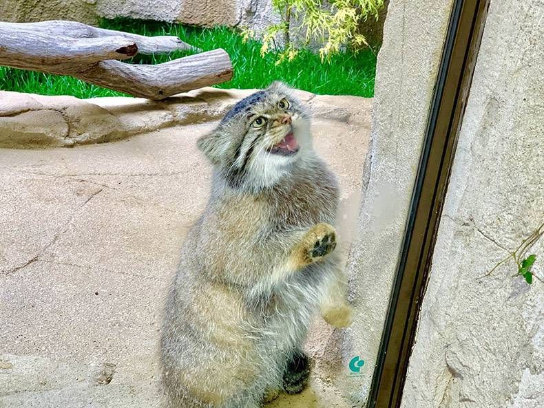 Gewoon een verzameling hilarische foto's #1128