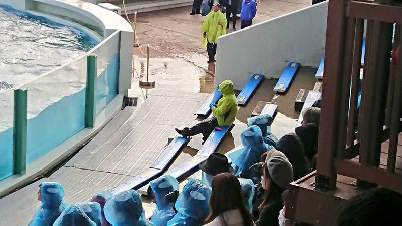 Gewoon een verzameling hilarische foto's #1079