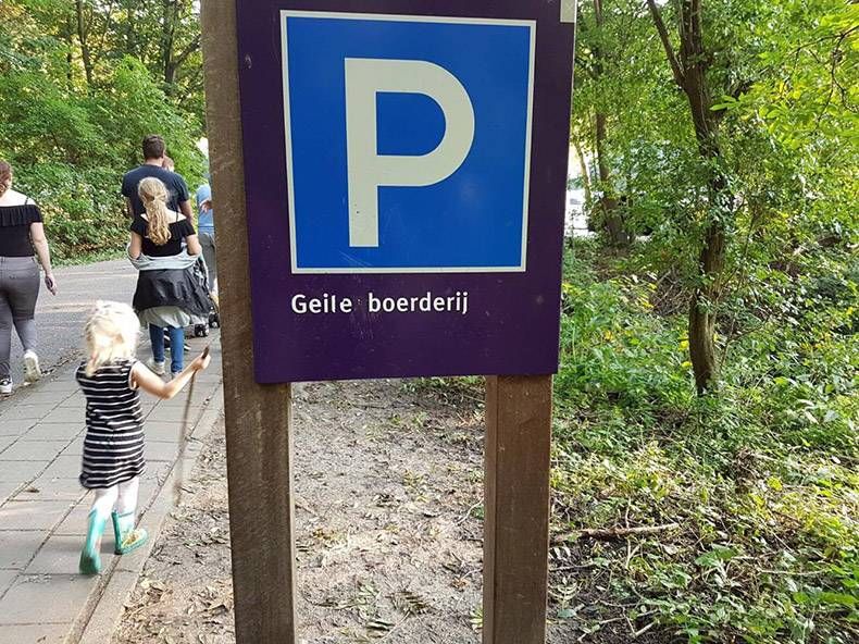 Gewoon een verzameling hilarische foto's #871