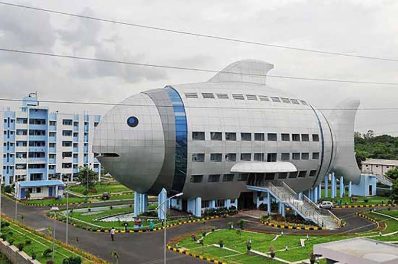 Gewoon een verzameling hilarische foto's #863