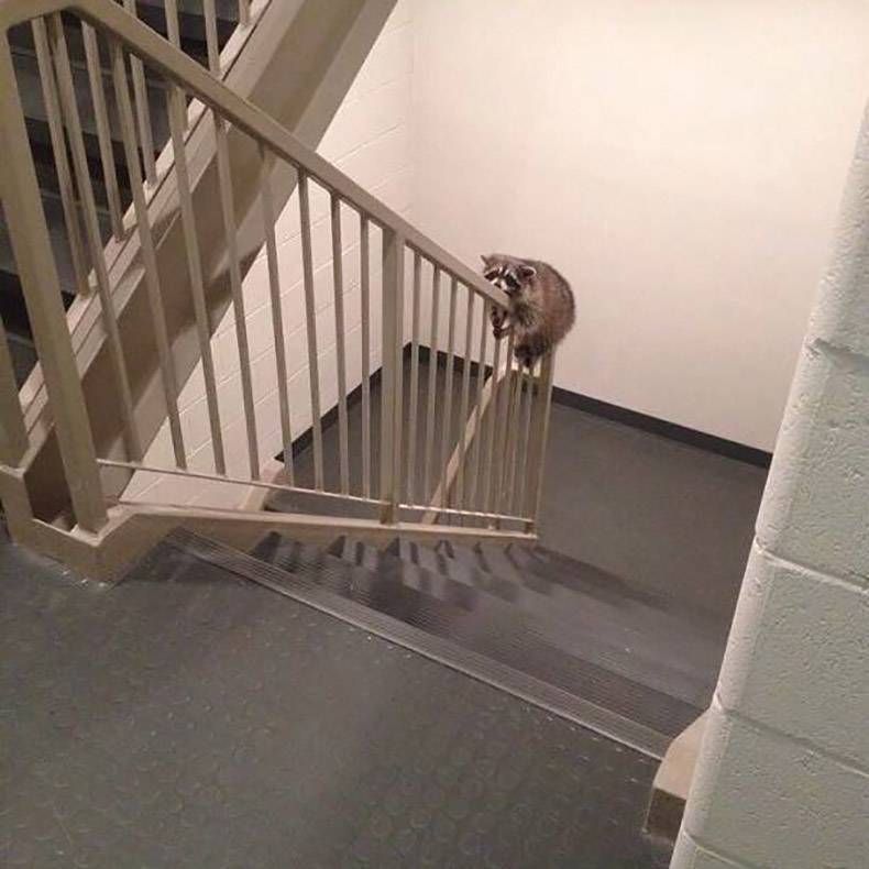 Gewoon een verzameling hilarische foto's #1265