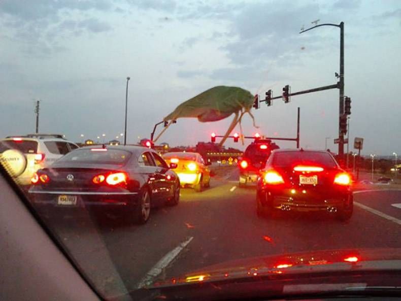 Gewoon een verzameling hilarische foto's #1240