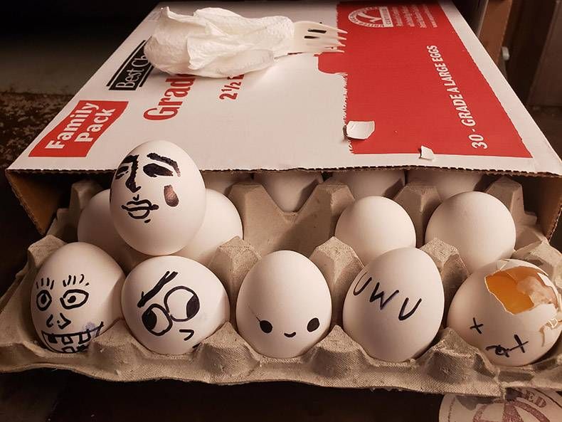 Gewoon een verzameling hilarische foto's #1142