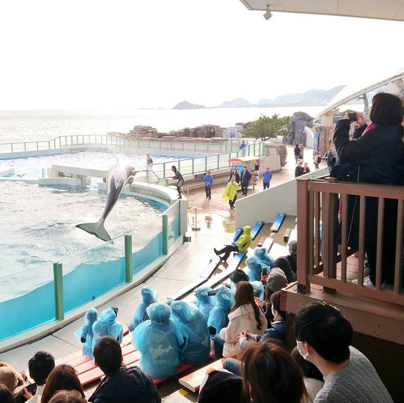 Gewoon een verzameling hilarische foto's #1079