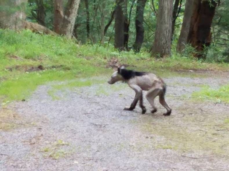 Gewoon een verzameling hilarische foto's #833