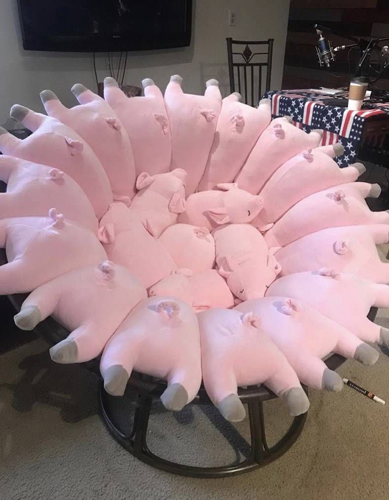 Gewoon een verzameling hilarische foto's #1252