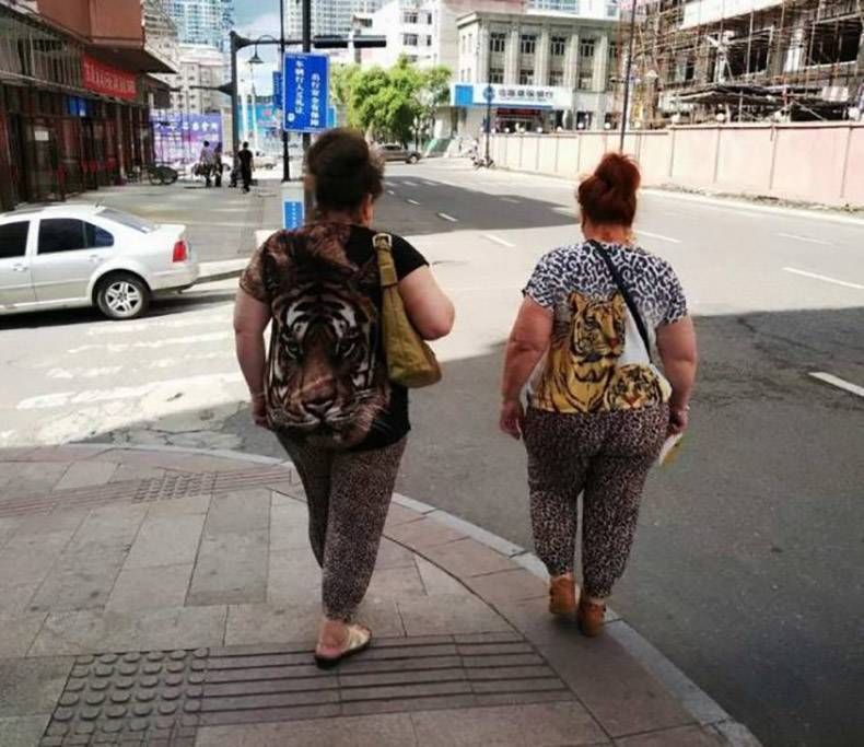 Gewoon een verzameling hilarische foto's #1205