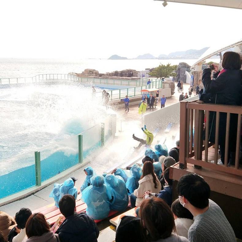 Gewoon een verzameling hilarische foto's #1079