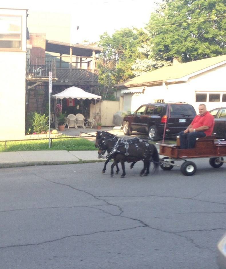 Gewoon een verzameling hilarische foto's #1069