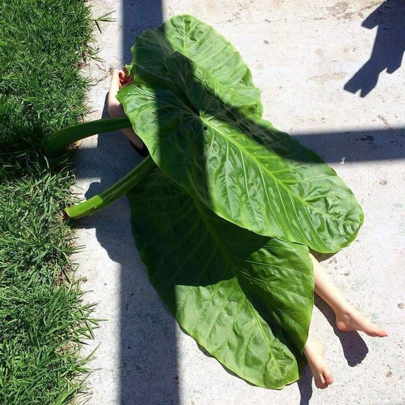 Gewoon een verzameling hilarische foto's #1024