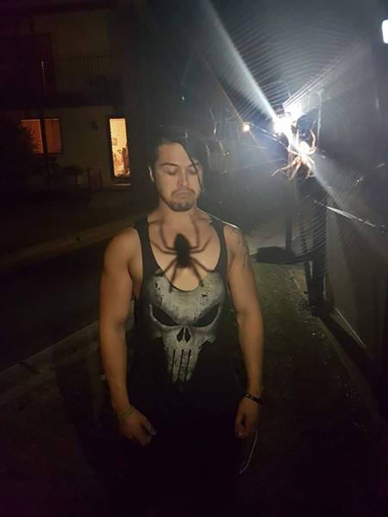 Gewoon een verzameling hilarische foto's #762