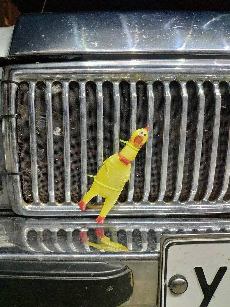 Gewoon een verzameling hilarische foto's #1161