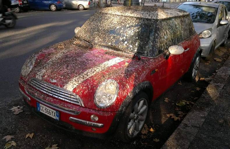 Gewoon een verzameling hilarische foto's #1037