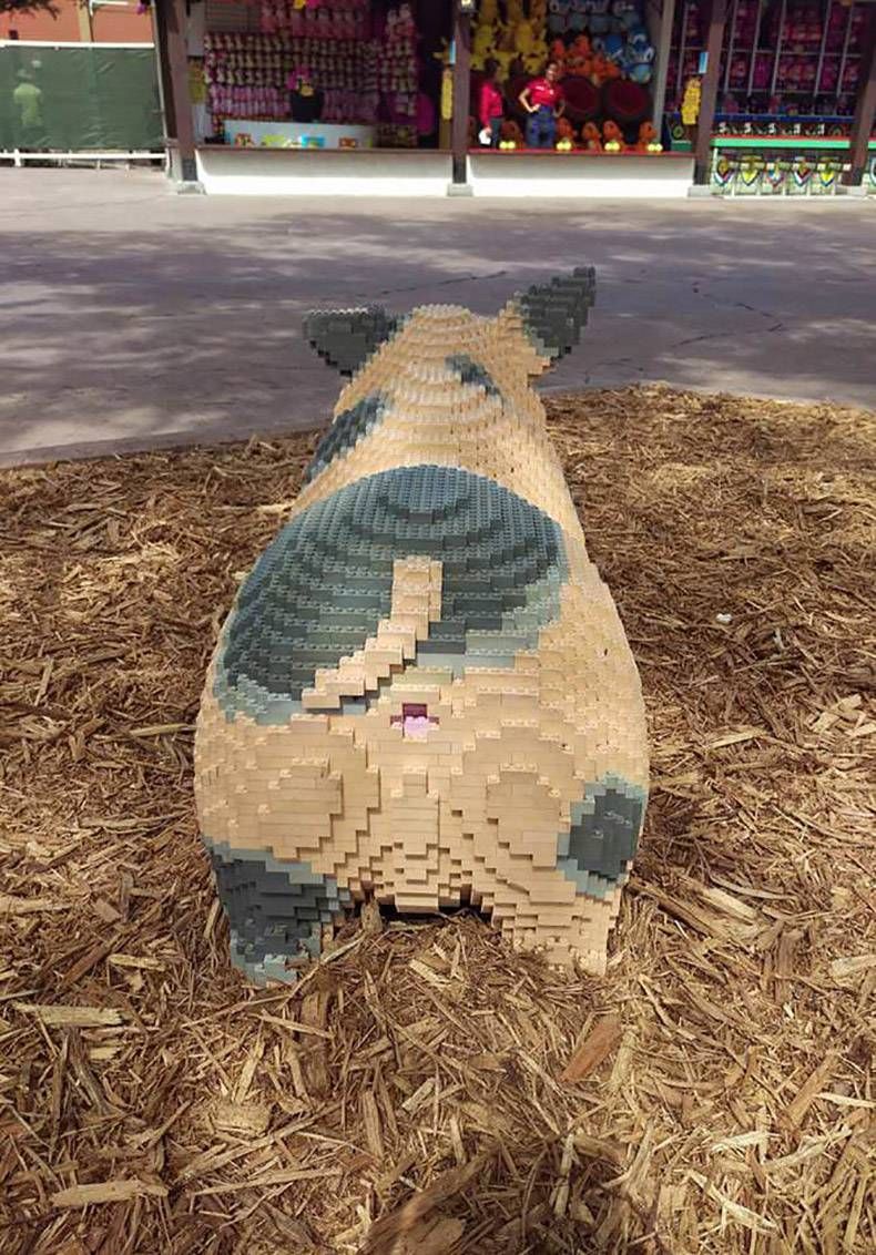 Gewoon een verzameling hilarische foto's #933