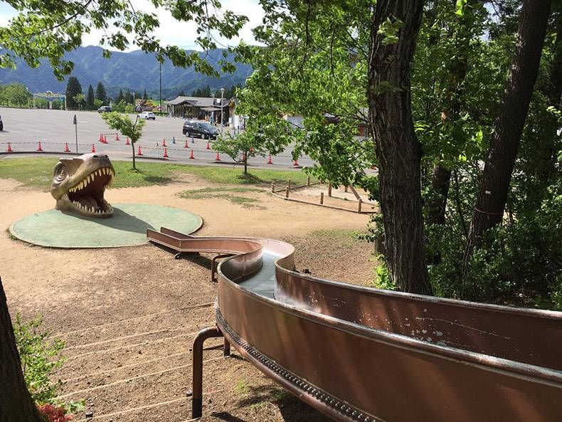 Gewoon een verzameling hilarische foto's #1178