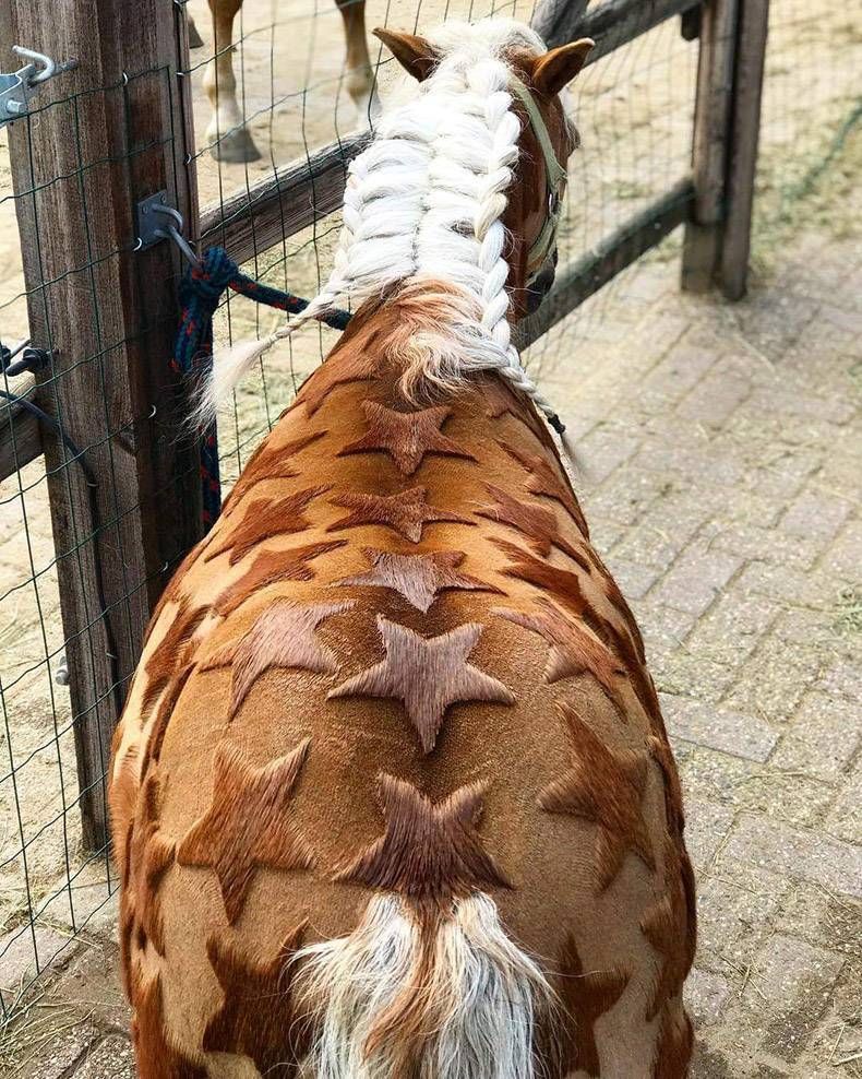 Gewoon een verzameling hilarische foto's #1127