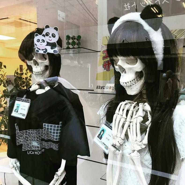 Gewoon een verzameling hilarische foto's #1024