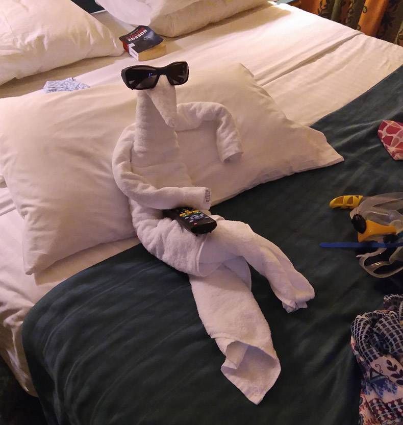 Gewoon een verzameling hilarische foto's #1252