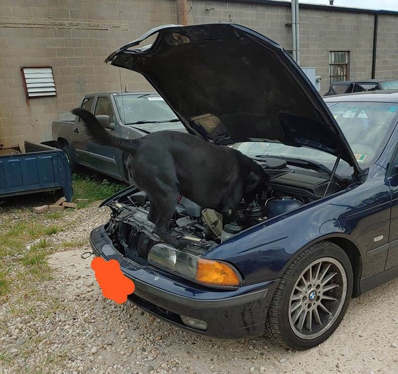 Gewoon een verzameling hilarische foto's #1179