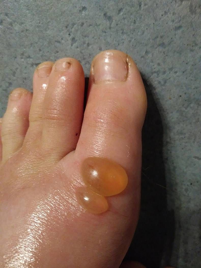 Gewoon een verzameling hilarische foto's #1152