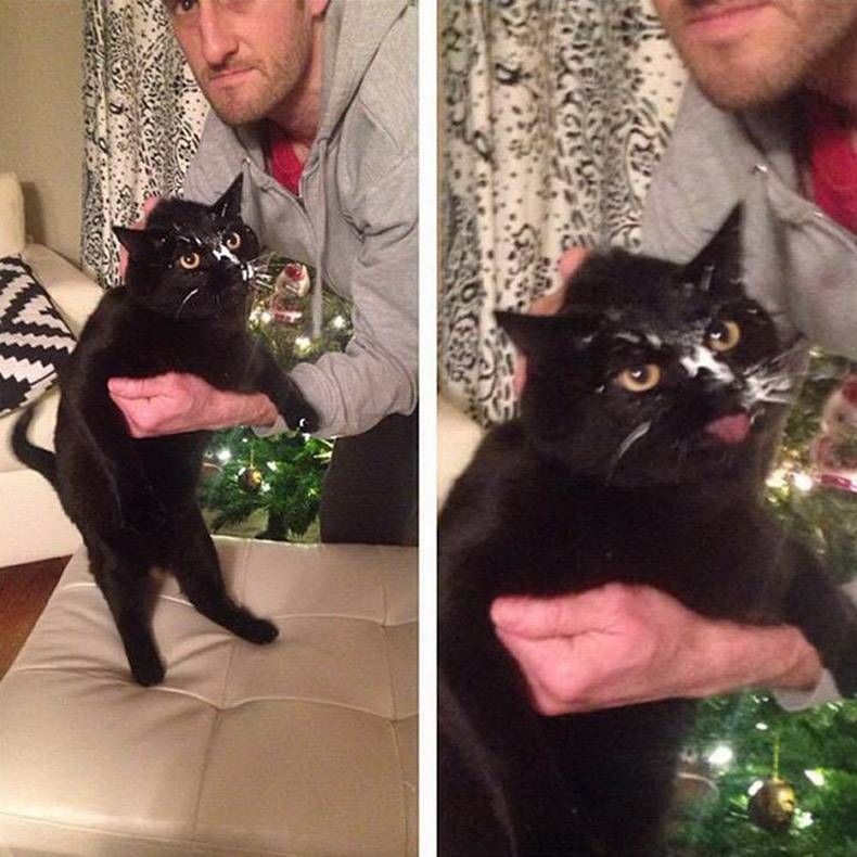 Gewoon een verzameling hilarische foto's #1139