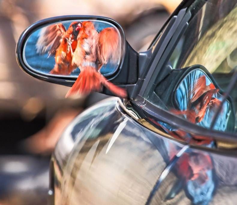 Gewoon een verzameling hilarische foto's #1128