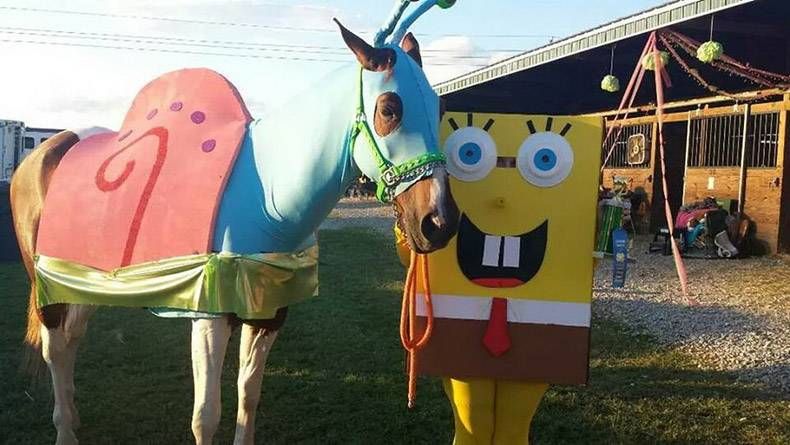 Gewoon een verzameling hilarische foto's #1069