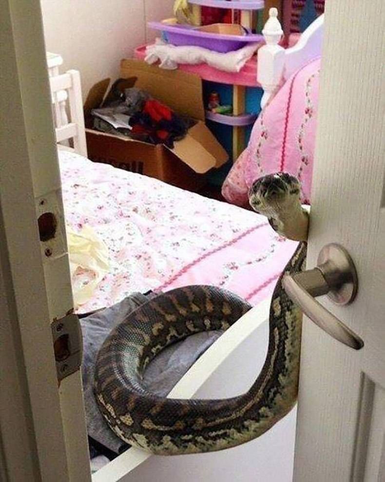 Gewoon een verzameling hilarische foto’s #858