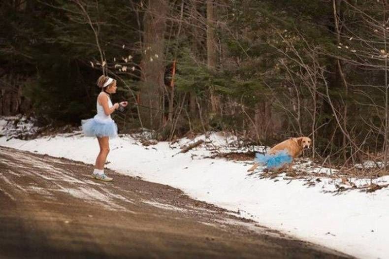 Gewoon een verzameling hilarische foto's #759