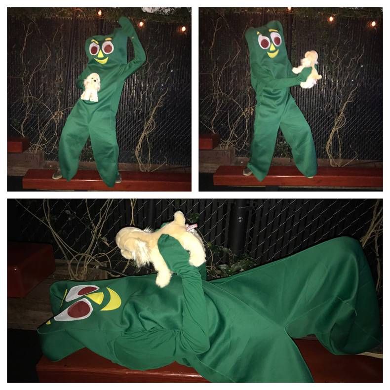 Gewoon een verzameling hilarische foto's #730