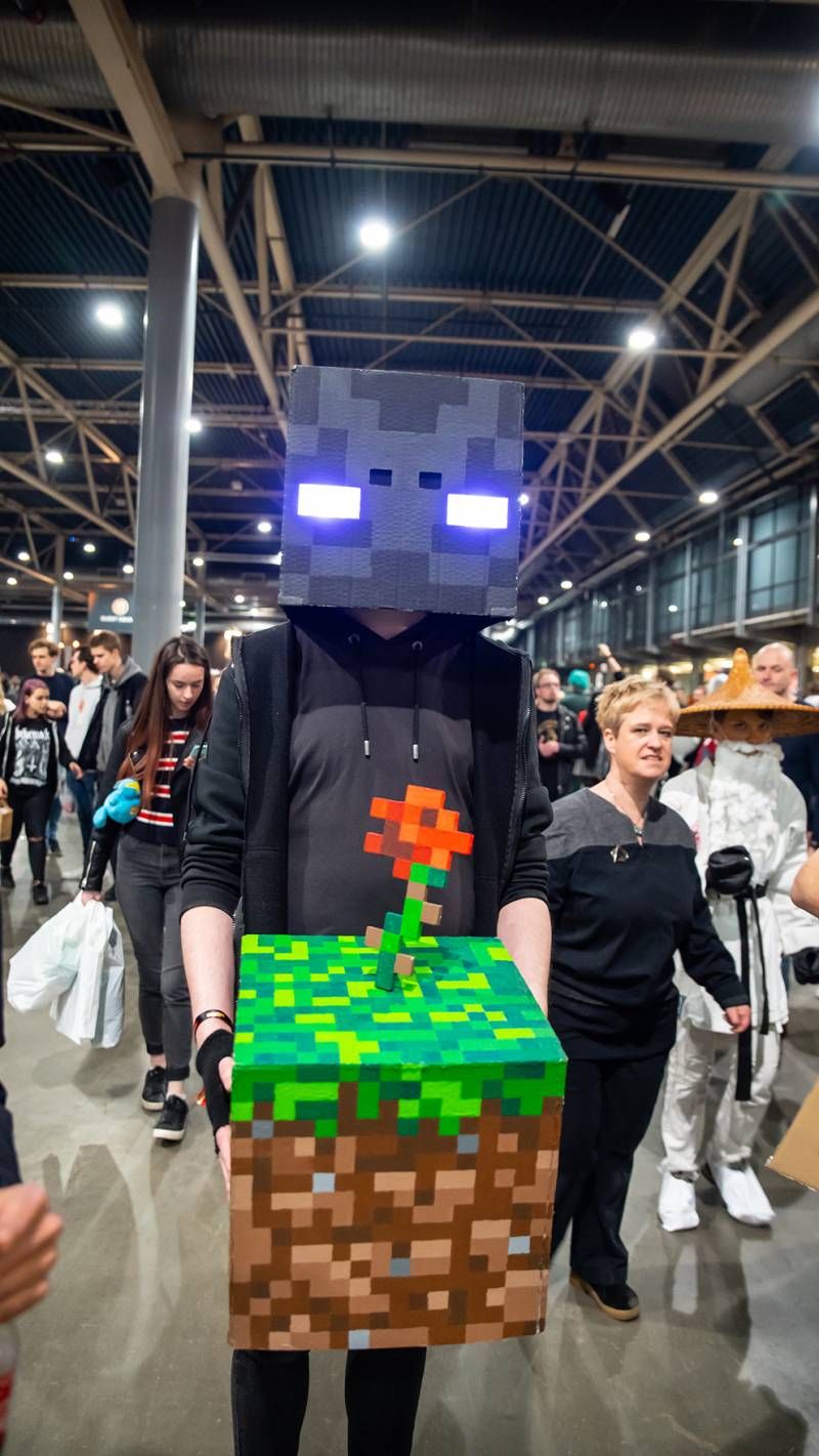Heroes Dutch Comic Con 2019 in beeld