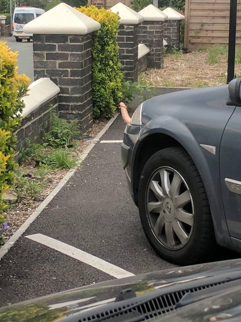 Gewoon een verzameling hilarische foto’s #1336