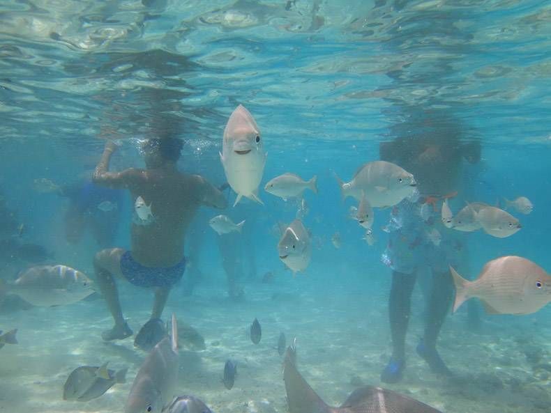 Gewoon een verzameling hilarische foto's #1178