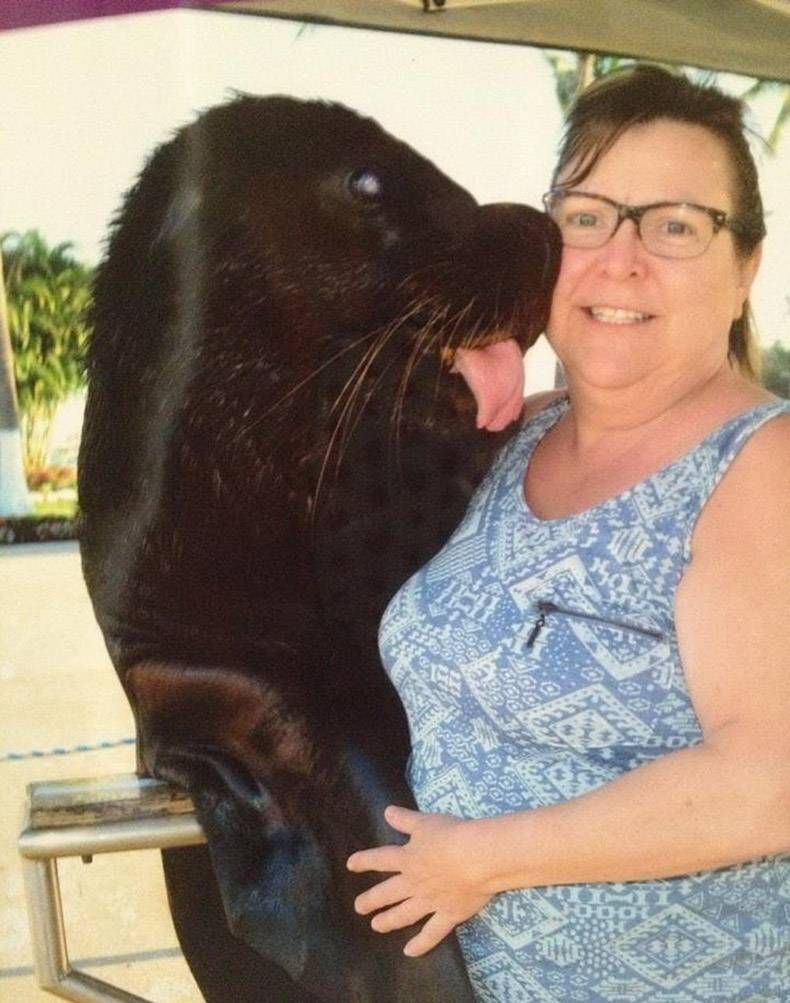 Gewoon een verzameling hilarische foto's #1129