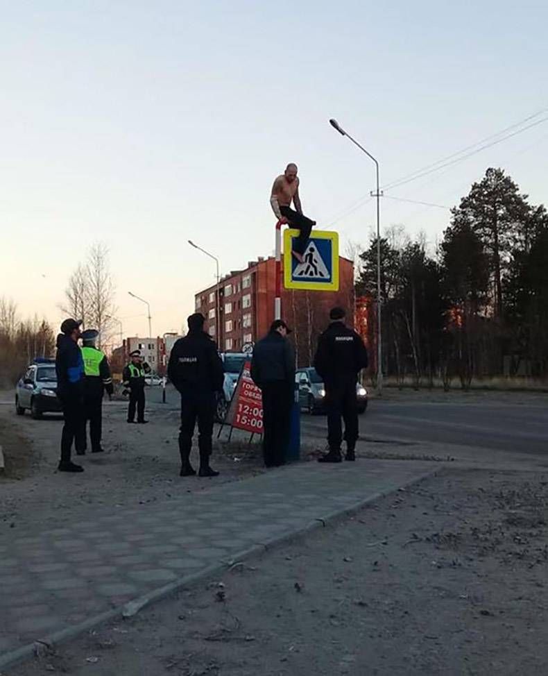 Gewoon een verzameling hilarische foto's #1037