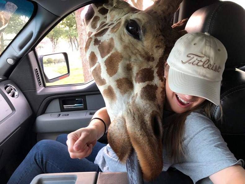 Gewoon een verzameling hilarische foto's #1024