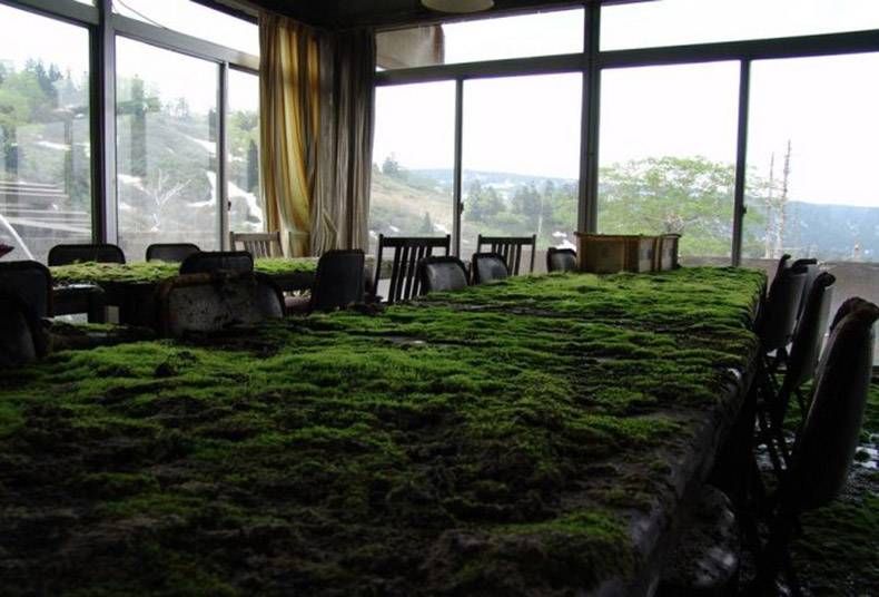 Gewoon een verzameling hilarische foto’s #978