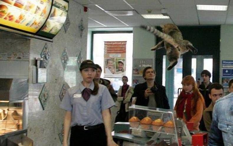 Gewoon een verzameling hilarische foto's #826